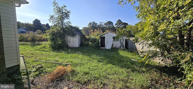 view of yard featuring a storage shed