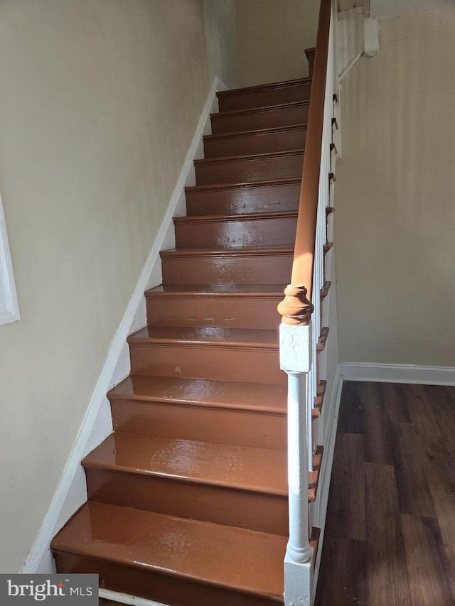 staircase featuring wood-type flooring