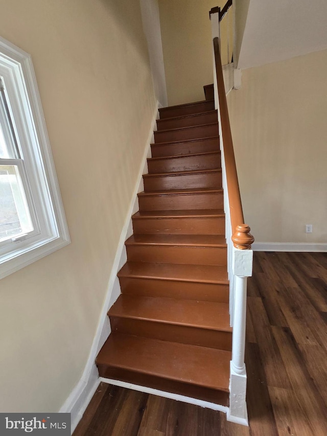 staircase with wood-type flooring