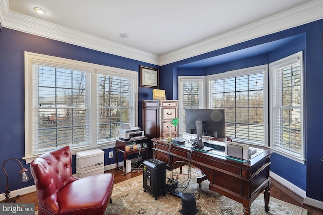 home office featuring a healthy amount of sunlight, baseboards, and wood finished floors