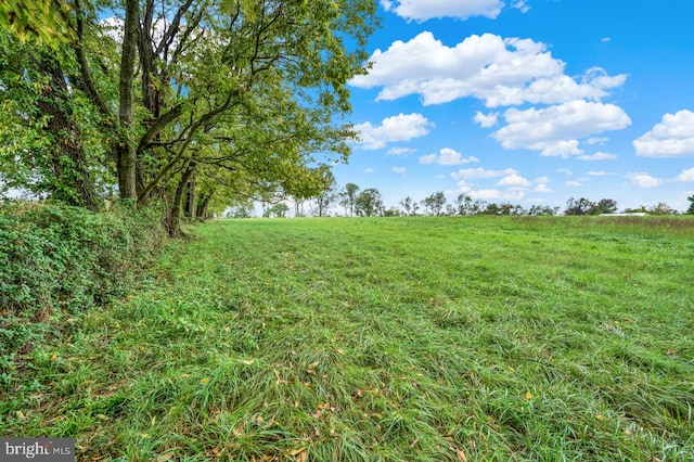 view of nature with a rural view