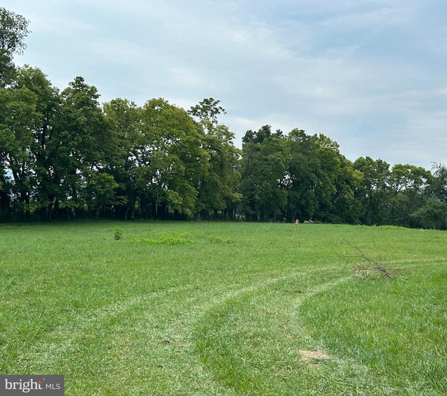 view of yard with a rural view