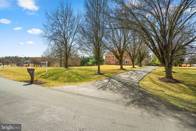 view of road with driveway