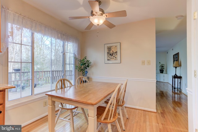 dining room featuring ceiling fan, light hardwood / wood-style flooring, and a wealth of natural light