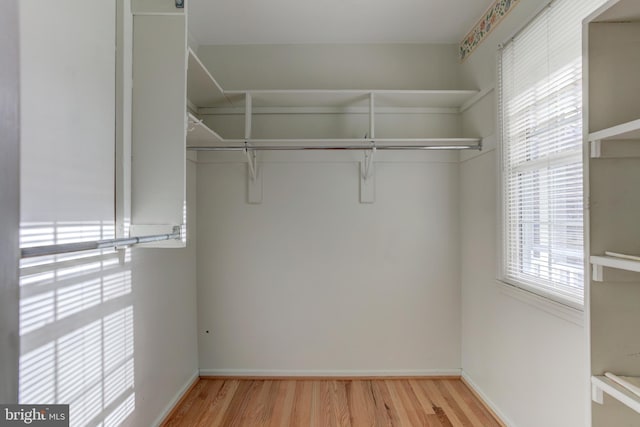 spacious closet featuring light hardwood / wood-style floors