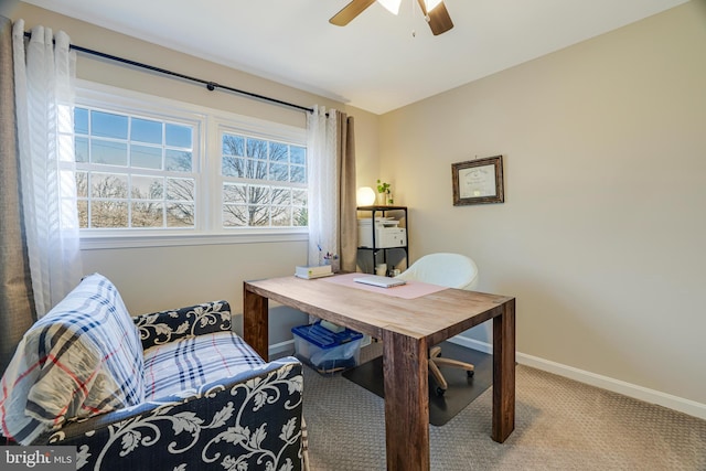 office area featuring ceiling fan and carpet flooring