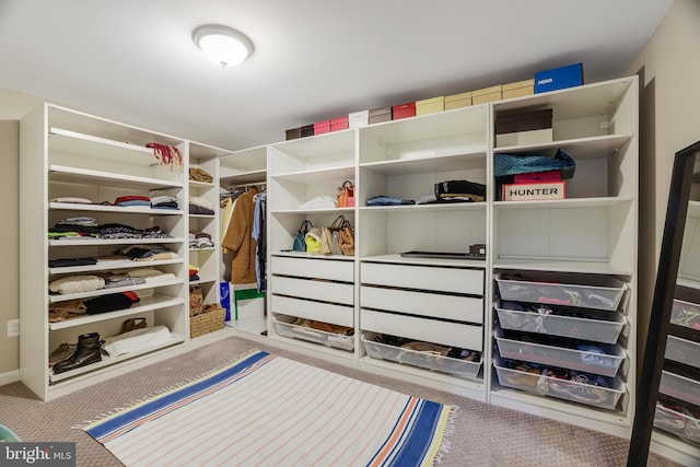 spacious closet with light colored carpet