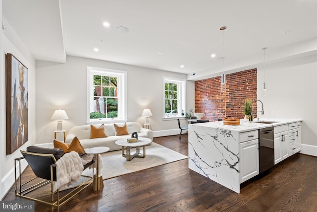 living room featuring dark wood-type flooring and sink