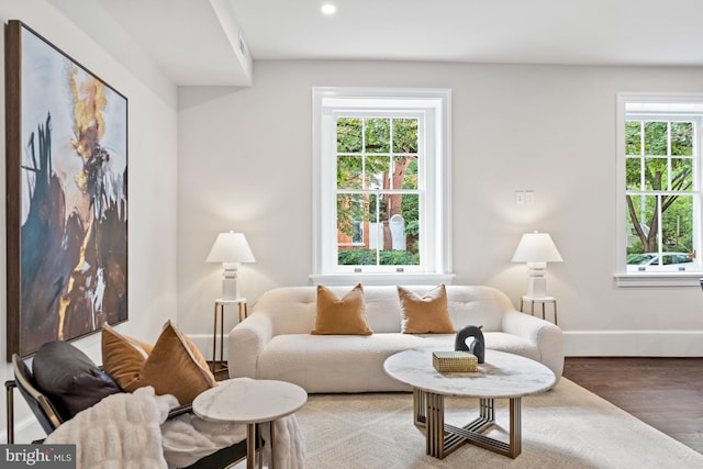 living room with wood-type flooring