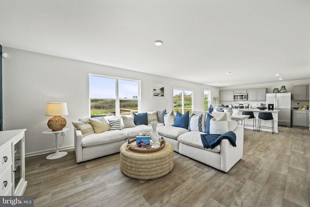 living room featuring light hardwood / wood-style floors