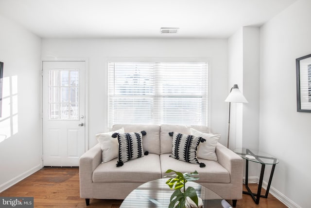 living room with hardwood / wood-style flooring and a healthy amount of sunlight
