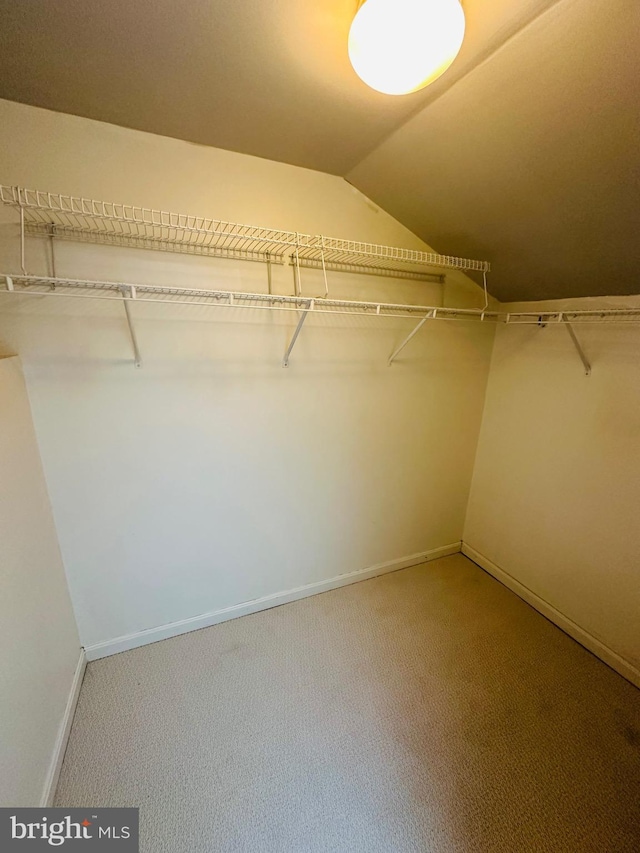 walk in closet with lofted ceiling and carpet flooring