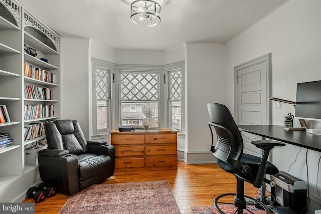 office space featuring light hardwood / wood-style flooring