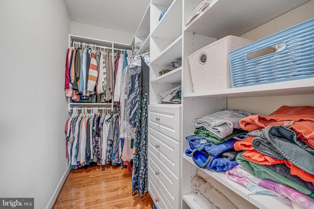 walk in closet with wood finished floors