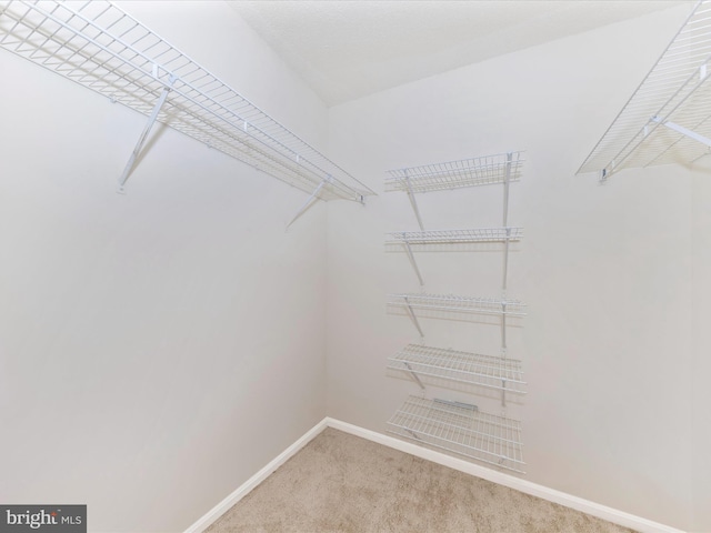 walk in closet with light colored carpet