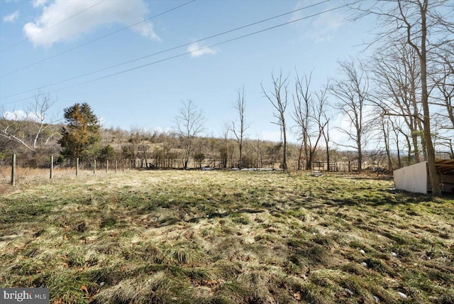 view of yard featuring a rural view