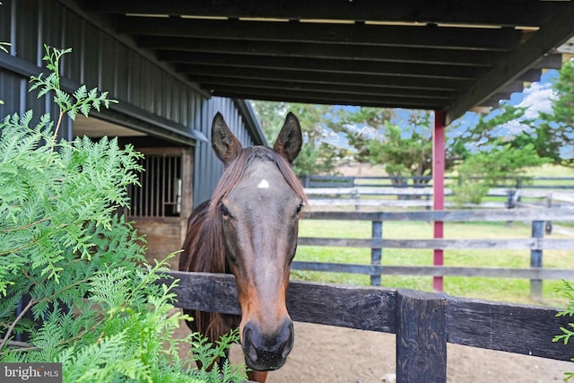 view of horse barn