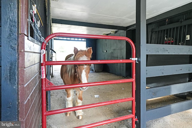 view of horse barn