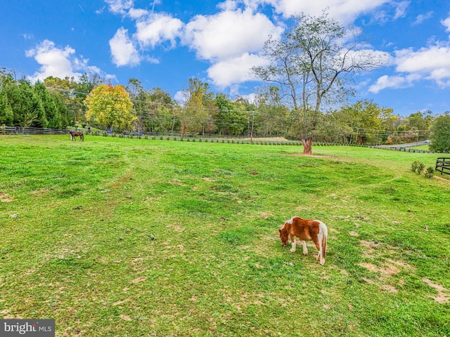 view of yard with fence and a rural view