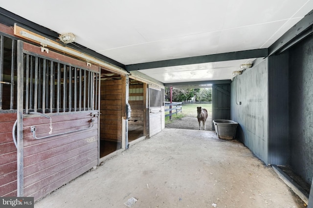 view of horse barn