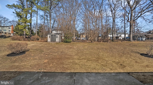 view of yard with a shed and an outdoor structure