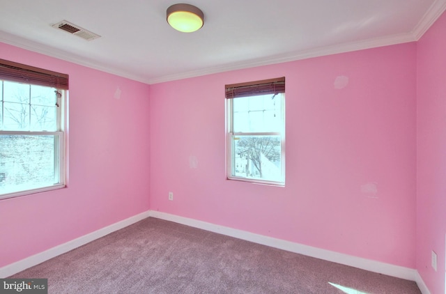 carpeted spare room featuring crown molding