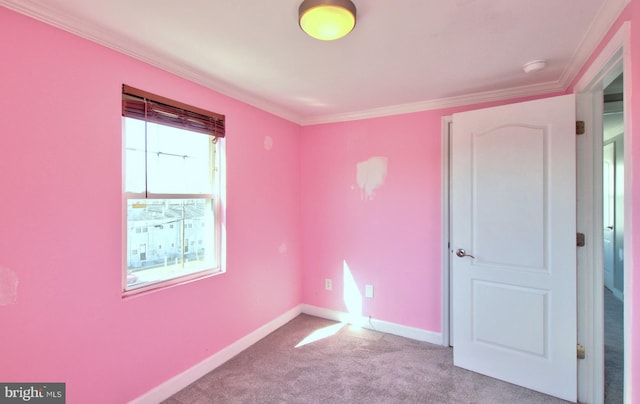 carpeted spare room featuring ornamental molding