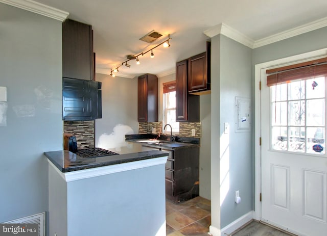 kitchen with sink, crown molding, kitchen peninsula, and stainless steel gas cooktop