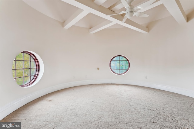 unfurnished room with beamed ceiling, carpet floors, a ceiling fan, and baseboards