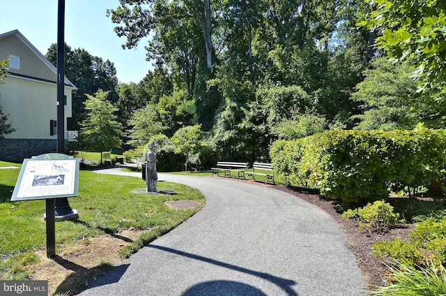 view of community with a yard