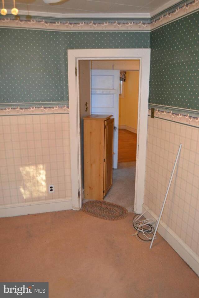 carpeted spare room with crown molding and tile walls