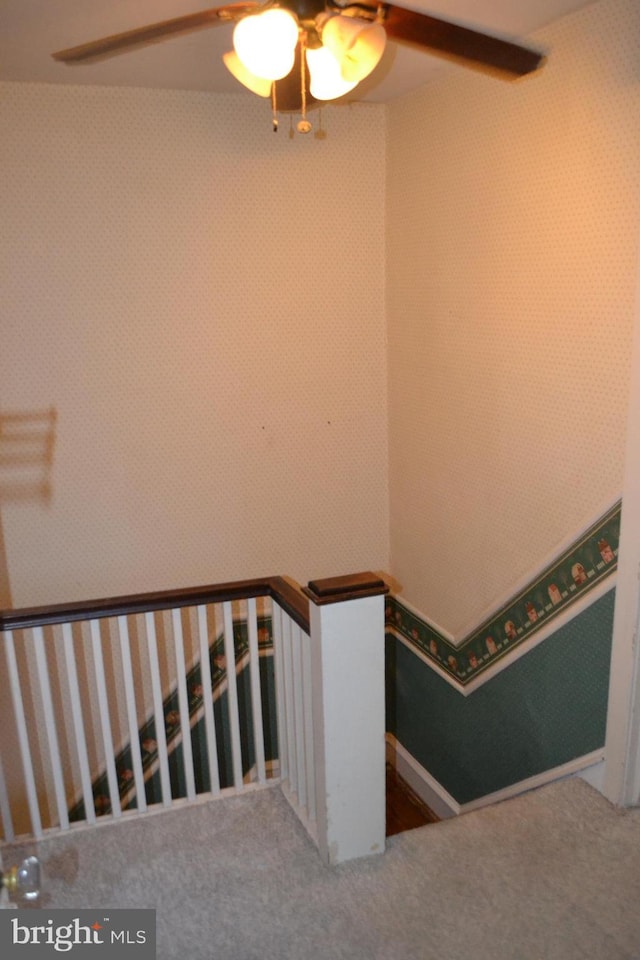 stairs with carpet