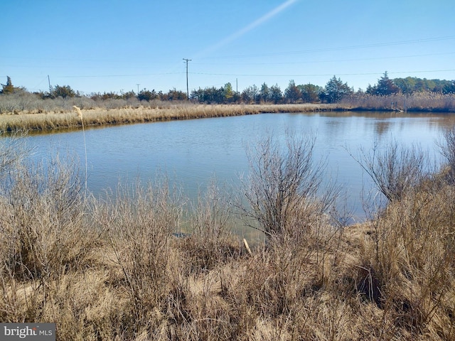 property view of water