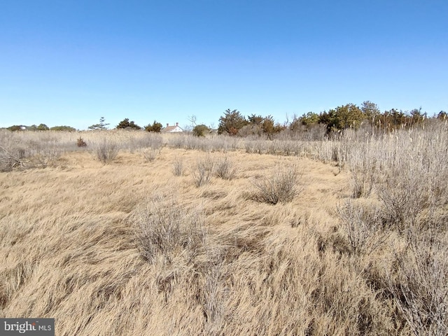 view of local wilderness with a rural view