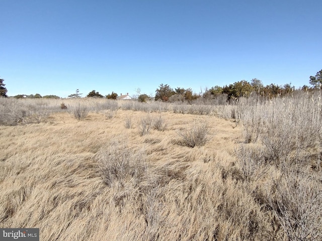 view of landscape featuring a rural view