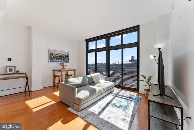 living room with light hardwood / wood-style floors and floor to ceiling windows