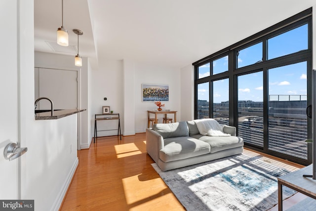 living room featuring hardwood / wood-style floors and floor to ceiling windows