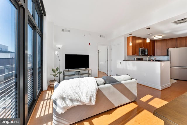 living room featuring light hardwood / wood-style floors