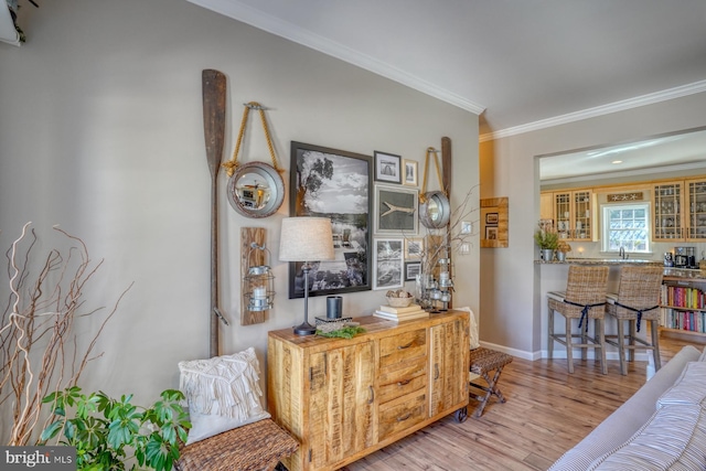 office area with ornamental molding, sink, and light hardwood / wood-style flooring