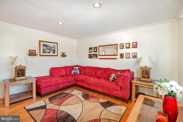 living room featuring ornamental molding and light wood-type flooring