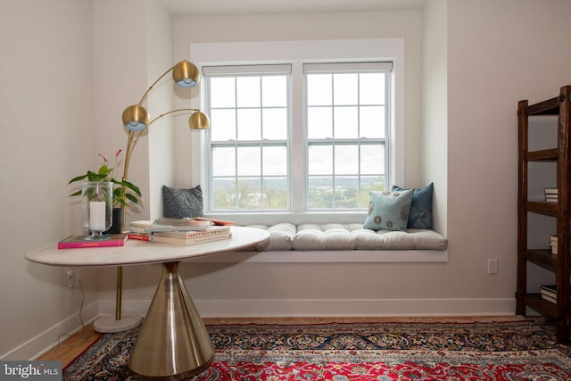 sitting room featuring wood-type flooring