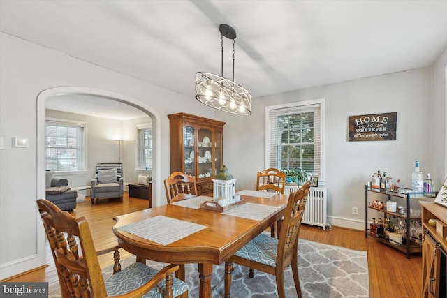 dining space featuring radiator and light hardwood / wood-style flooring