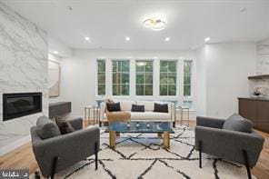 living room with a premium fireplace and light wood-type flooring