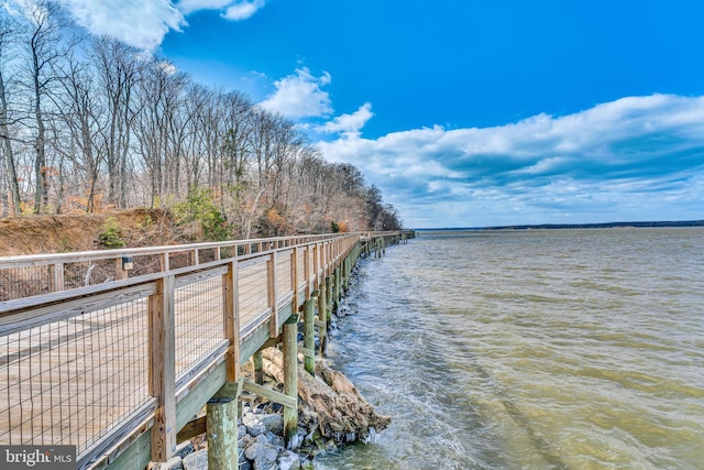 dock area with a water view