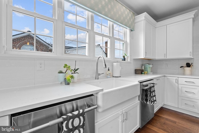 kitchen featuring dishwasher, backsplash, dark wood finished floors, and a sink