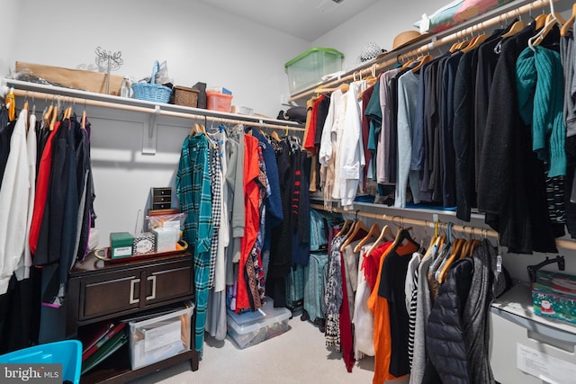 spacious closet with carpet floors