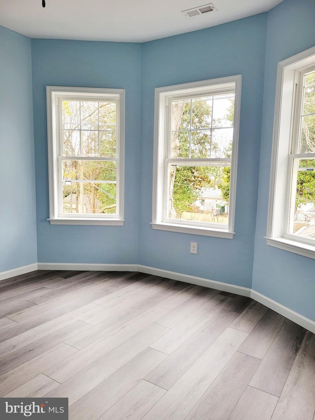 unfurnished room featuring light wood-type flooring and a wealth of natural light