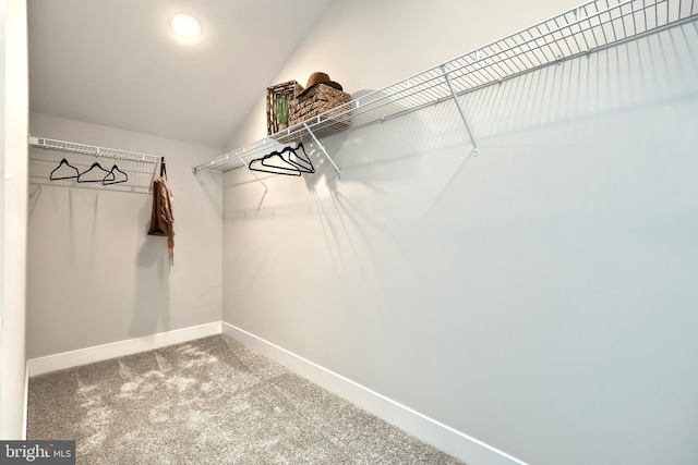 walk in closet featuring carpet floors and vaulted ceiling