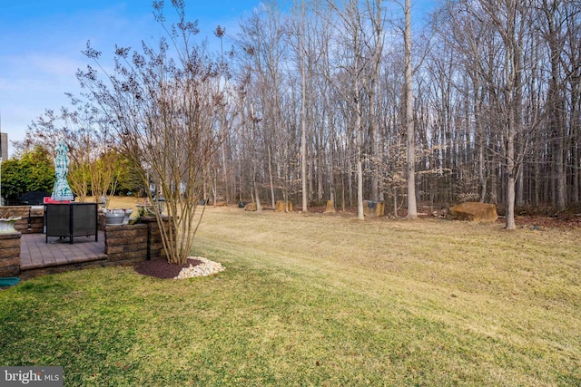 view of yard featuring a patio