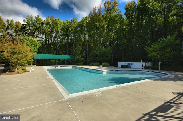 view of swimming pool with a patio